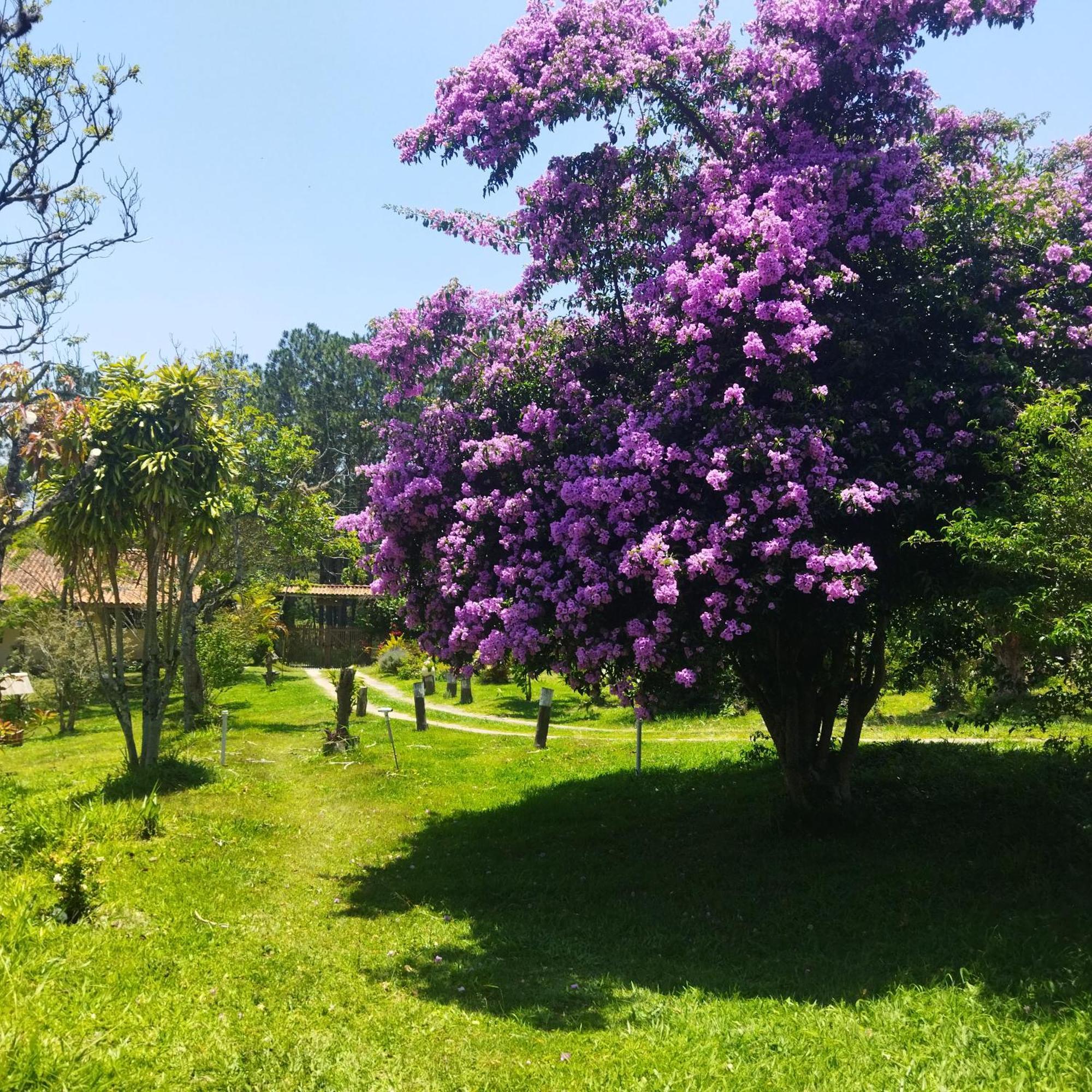 Chacara Aquila Villa São Roque Eksteriør bilde